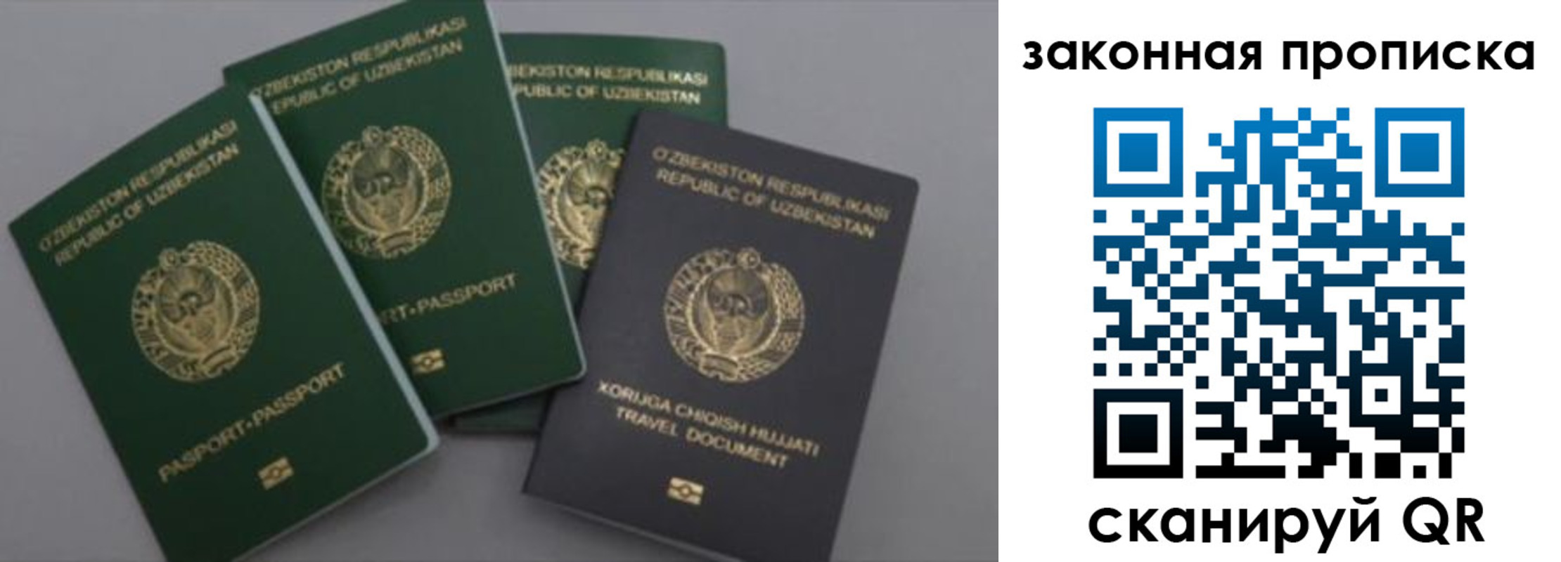 прописка законно в Кирсанове